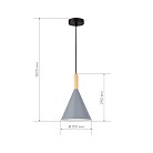 Светильник подвесной Черный/Серый E27 1*40W Evoluce SLE1255-423-01 ARKET