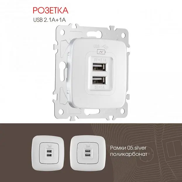 Розетка USB Arte Milano 205.46-1.silver am