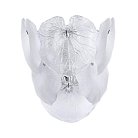 Настенный светильник Arte Lamp A4078AP-2CC KAPRI