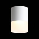 Светильник потолочный ST Luce ST100.502.15 Накладные Светильники