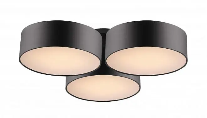 Потолочный светильник Favourite 1514-6C Cerchi Потолочный светильник Favourite 1514-6C Cerchi