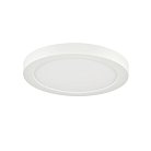 Потолочный светильник Sonex 7754/12L NEBULA WHITE