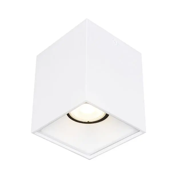 Светильник потолочный ST-Luce ST168.502.01 Светильник потолочный ST-Luce ST168.502.01