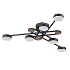 Потолочная люстра Arte Lamp A2455PL-6BK TAYGETA