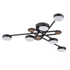 Потолочная люстра Arte Lamp A2455PL-6BK TAYGETA