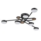 Потолочная люстра Arte Lamp A2455PL-6BK TAYGETA