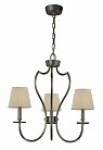 Подвесная люстра Cloyd 10094 Bensley