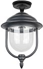 Потолочный светильник уличный Oasis Light 84305A Bl MADRID