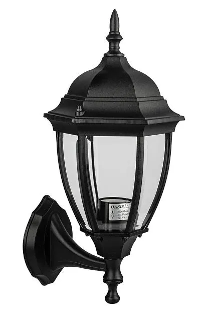 Настенный светильник уличный Oasis Light 91201S 04 Bl ARSENAL S