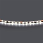 Лента холодного белого свечения 24V Lightstar 420505