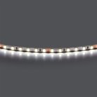 Лента холодного белого свечения 24V Lightstar 420505
