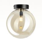 Потолочный светильник Citilux CL202512 ORTON