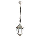 Уличный подвесной светильник Arte Lamp A3151SO-1WG PEGASUS