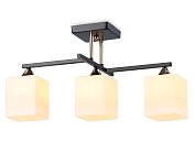 Потолочный светильник Ambrella light TR303114 Traditional Modern