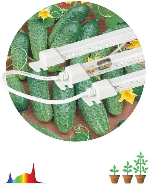 Светильник для растений ЭРА FITO-3х10W-LINE-Ra90