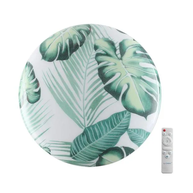 Светильник светодиодный потолочный Sonex 7748/EL FLORI