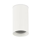 Сменный корпус для светильника ALPHA размер D45xL80 мм, белый цвет Donolux body alpha 4580 w Alpha