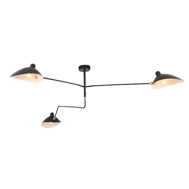 Люстра потолочная ST-Luce SL305.402.03 Spruzzo Люстра потолочная ST-Luce SL305.402.03 Spruzzo