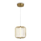 Подвесной светильник Freya FR6131PL-L13BS Sabi