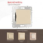 Выключатель одноклавишный, 10AX 250V Arte Milano 203.30-1.shampan am