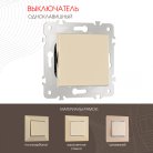 Выключатель одноклавишный, 10AX 250V Arte Milano 203.30-1.shampan am