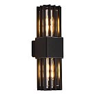 Светильник уличный настенный черный/черный E27 2*15W ST Luce SL9018.401.02 IRUM