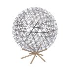 Напольный светильник Loft IT 9027-89F Raimond