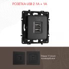 Розетка USB 2.1А+1А Arte Milano 217.46-1.black am