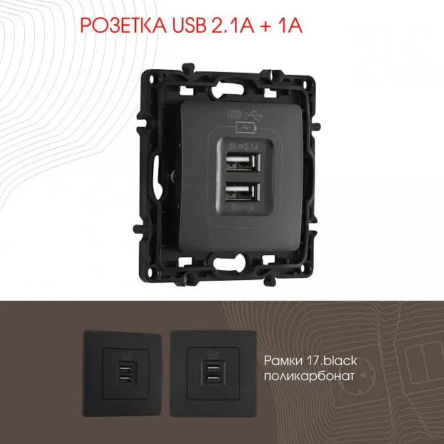 Розетка USB 2.1А+1А Arte Milano 217.46-1.black am Розетка USB 2.1А+1А Arte Milano 217.46-1.black am