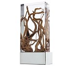 Светильник Настенный Divinare 3200/09 AP-1 SELVA