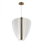 Светильник подвесной ST-Luce SL6509.213.01 FESALE