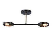 Подвесной светильник Ambrella light TR8225/2 BK/SB