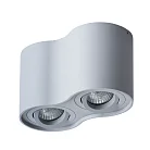 Точечный накладной светильник Arte Lamp A5645PL-2GY FALCON 