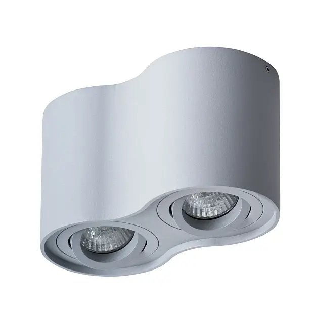 Точечный накладной светильник Arte Lamp A5645PL-2GY FALCON Точечный накладной светильник Arte Lamp A5645PL-2GY FALCON