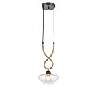 Подвесной светильник Vele Luce VL5444P01 Janice