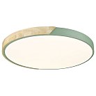 Потолочный светильник Velante 445-467-01