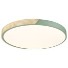 Потолочный светильник Velante 445-467-01