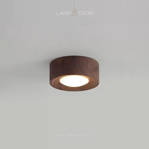 Точечный свет WOODSPOT DARK Встраиваемый вариант Lampatron woodspot-dark-in 8184-22395 Точечный свет WOODSPOT DARK Встраиваемый вариант Lampatron woodspot-dark-in 8184-22395