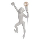 Настенный светильник Loft IT 10314W/B Monkey