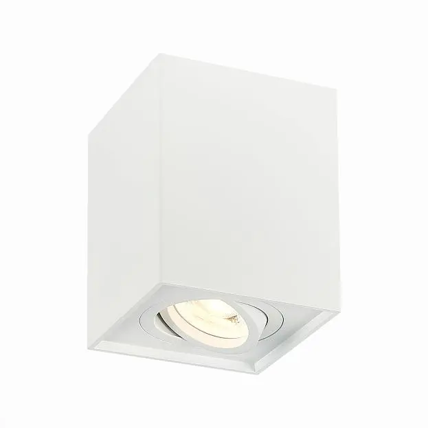 Потолочный светильник ST Luce ST109.507.01 Потолочный светильник ST Luce ST109.507.01