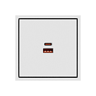 Зарядное устройство USB типа A+С LeDron USB Socket A+C 65W White