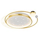 Потолочный светильник F-Promo 4743-5C