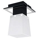 Потолочный светильник Lussole GRLSC-2507-01 Lente