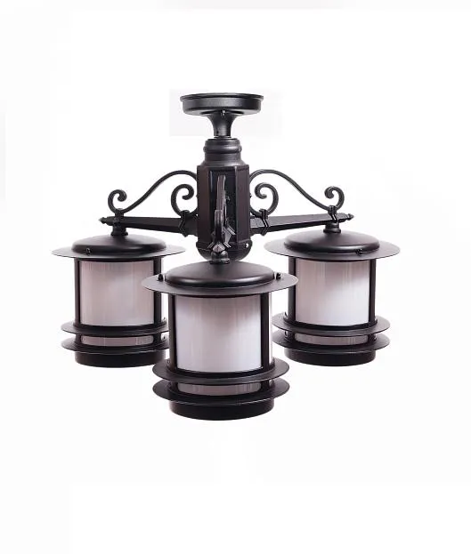 Потолочный светильник уличный Oasis Light 68370A/3 Bl opal TOKIO