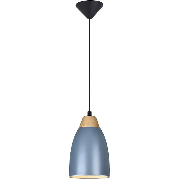 Подвесной светильник Toplight TL0724H-2N Leah