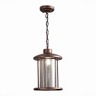 Уличный подвесной светильник ST Luce SL080.403.01 Lastero