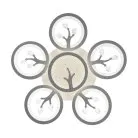 Потолочный светильник Freya FR10017CL-L92W Bodge