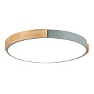 Светильник потолочный Серый, Светлое дерево/Белый LED 1*40W 3000K/4000K/6000K Evoluce SLE201372-01 DELIA