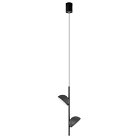 Подвесной светильник Loft IT 10335 Black Mons