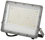 Прожектор уличный ЭРА LPR-063-0-65K-100